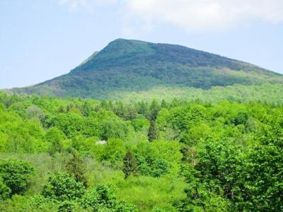 Caloroczne Domki Zacisze Hnatowego Berda W Wetlinie Wetlina Buitenkant foto