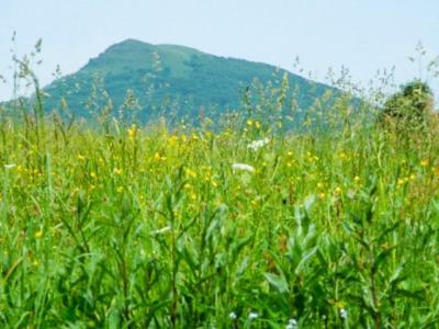 Caloroczne Domki Zacisze Hnatowego Berda W Wetlinie Wetlina Buitenkant foto